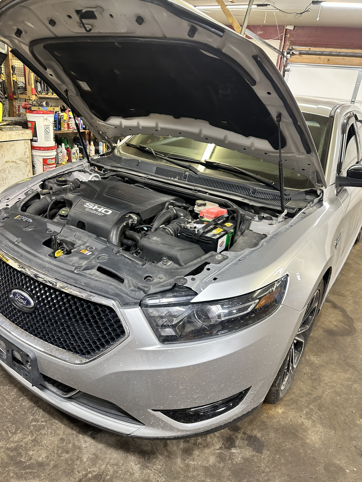 Ford Taurus SHO engine bay at Triad Automotive